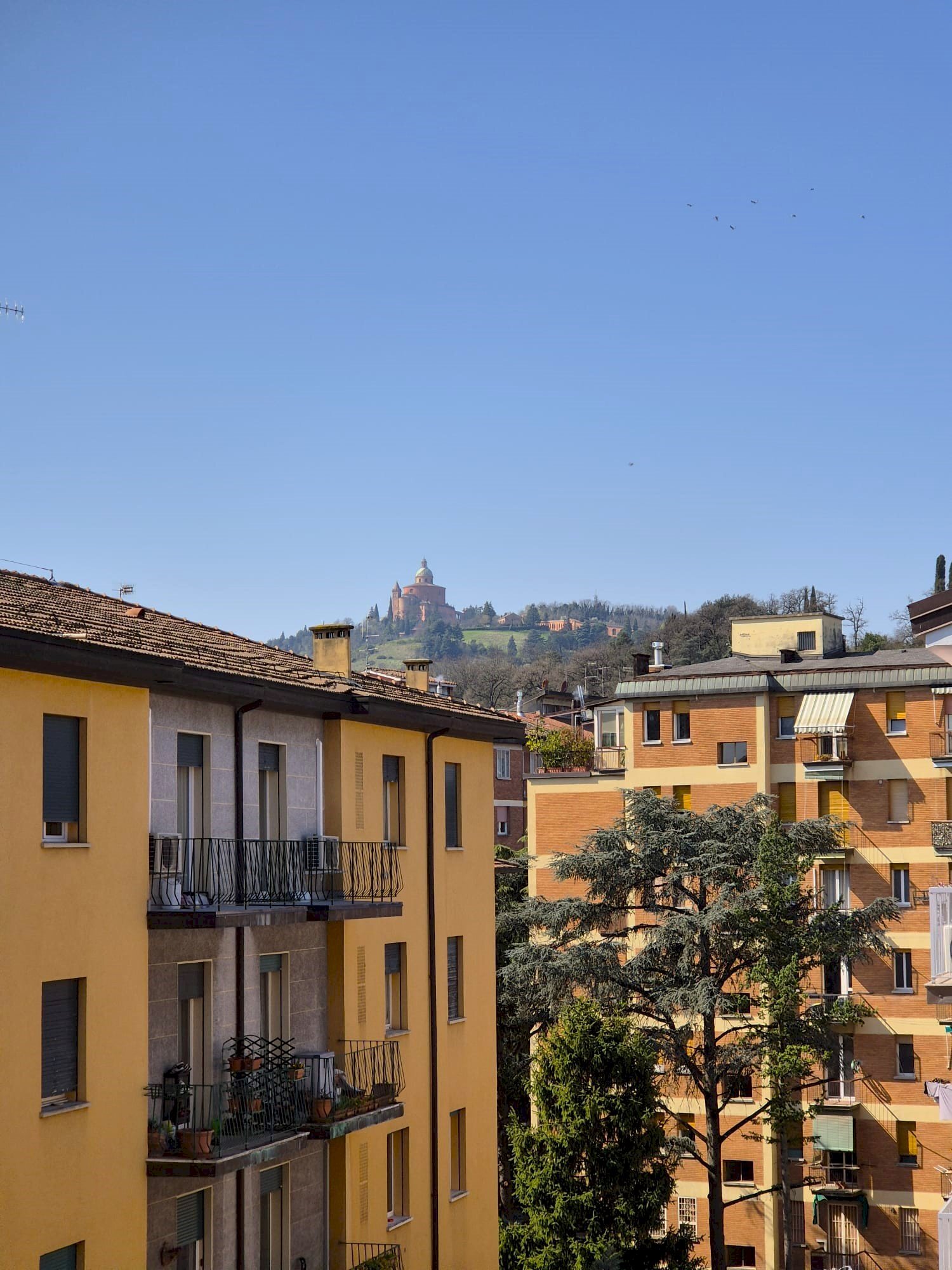 Apartment via Marino Dalmonte, Bologna (neighborhood Costa Saragozza) - photo 2