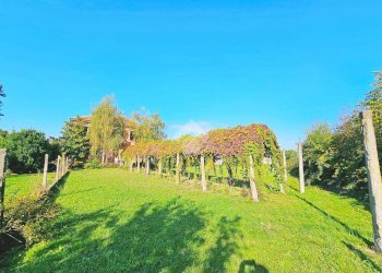 Casa indipendente Via Nazario Sauro, Frugarolo - foto 4
