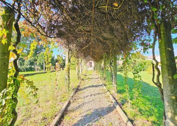 Casa indipendente Via Nazario Sauro, Frugarolo - foto 7