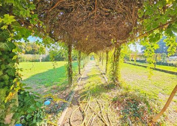 Casa indipendente Via Nazario Sauro, Frugarolo - foto 45