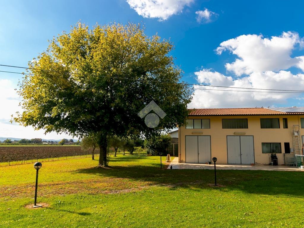 Deposito Via Mamini 3, Forlì - foto 1