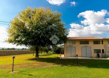 Deposito Via Mamini 3, Forlì - foto 1