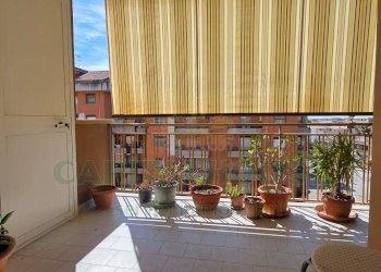 Foto 17 - Quadrilocale Viale delle Querce, Caserta - foto 17