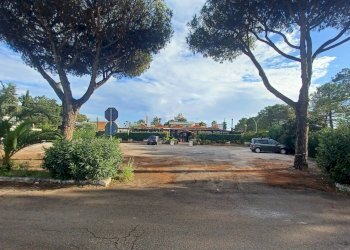 Foto 5 - Locale Commerciale Via Pontinia km 106500, Terracina - foto 5