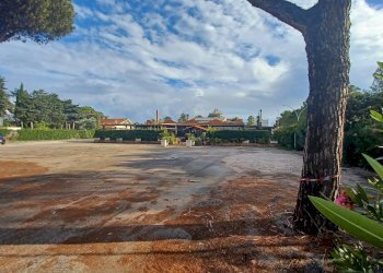 Foto 7 - Locale Commerciale Via Pontinia km 106500, Terracina - foto 7