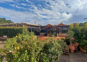 Foto 16 - Locale Commerciale Via Pontinia km 106500, Terracina - foto 16