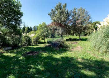 Giardino - Villa Strada Mola dei Monti, Campagnano di Roma - foto 29