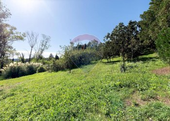 Giardino - Villa Strada Mola dei Monti, Campagnano di Roma - foto 30