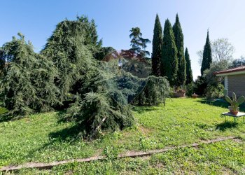 Giardino - Villa Strada Mola dei Monti, Campagnano di Roma - foto 35
