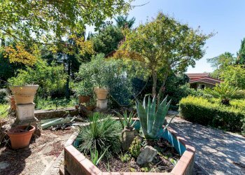 Giardino - Villa Strada Mola dei Monti, Campagnano di Roma - foto 38