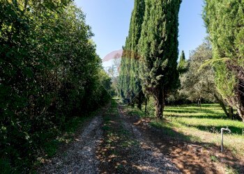Giardino - Villa Strada Mola dei Monti, Campagnano di Roma - foto 39