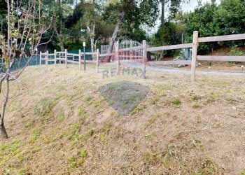 Giardino - Villa VIA delle quercie
 
47, Massarosa - foto 43