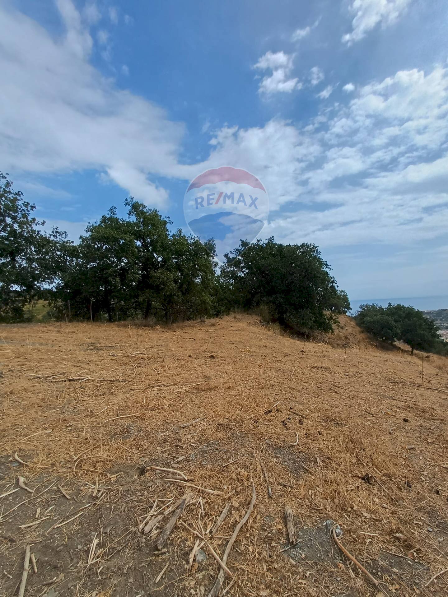 Giardino - Terreno agricolo contura inferiore, Savoca - foto 2