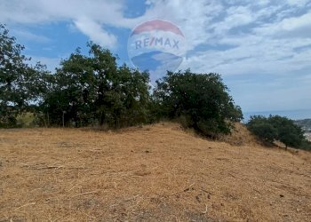 Giardino - Terreno agricolo contura inferiore, Savoca - foto 2