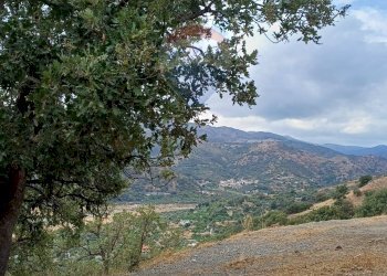 Vista delle montagne - Terreno agricolo contura inferiore, Savoca - foto 12