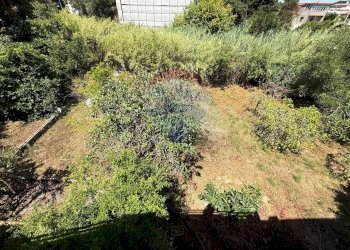 Giardino - Trilocale Via Sabaudia
 
114, San Felice Circeo - foto 33