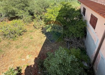 Giardino - Trilocale Via Sabaudia
 
114, San Felice Circeo - foto 34