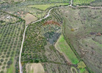Posizione della mappa - Terreno agricolo Usini - foto 2