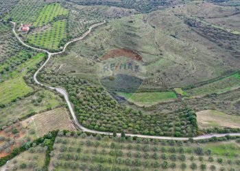 Posizione della mappa - Terreno agricolo Usini - foto 3