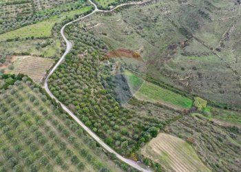 Posizione della mappa - Terreno agricolo Usini - foto 6