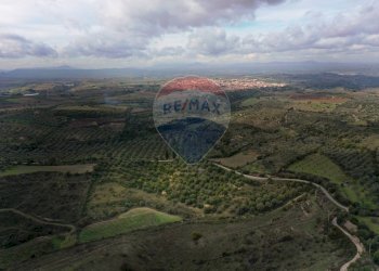 Vista delle montagne - Terreno agricolo Usini - foto 7