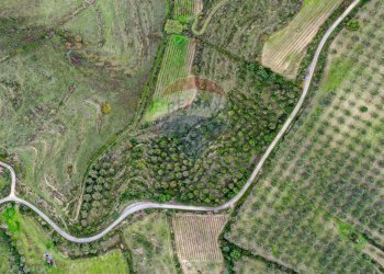 Posizione della mappa - Terreno agricolo Usini - foto 8