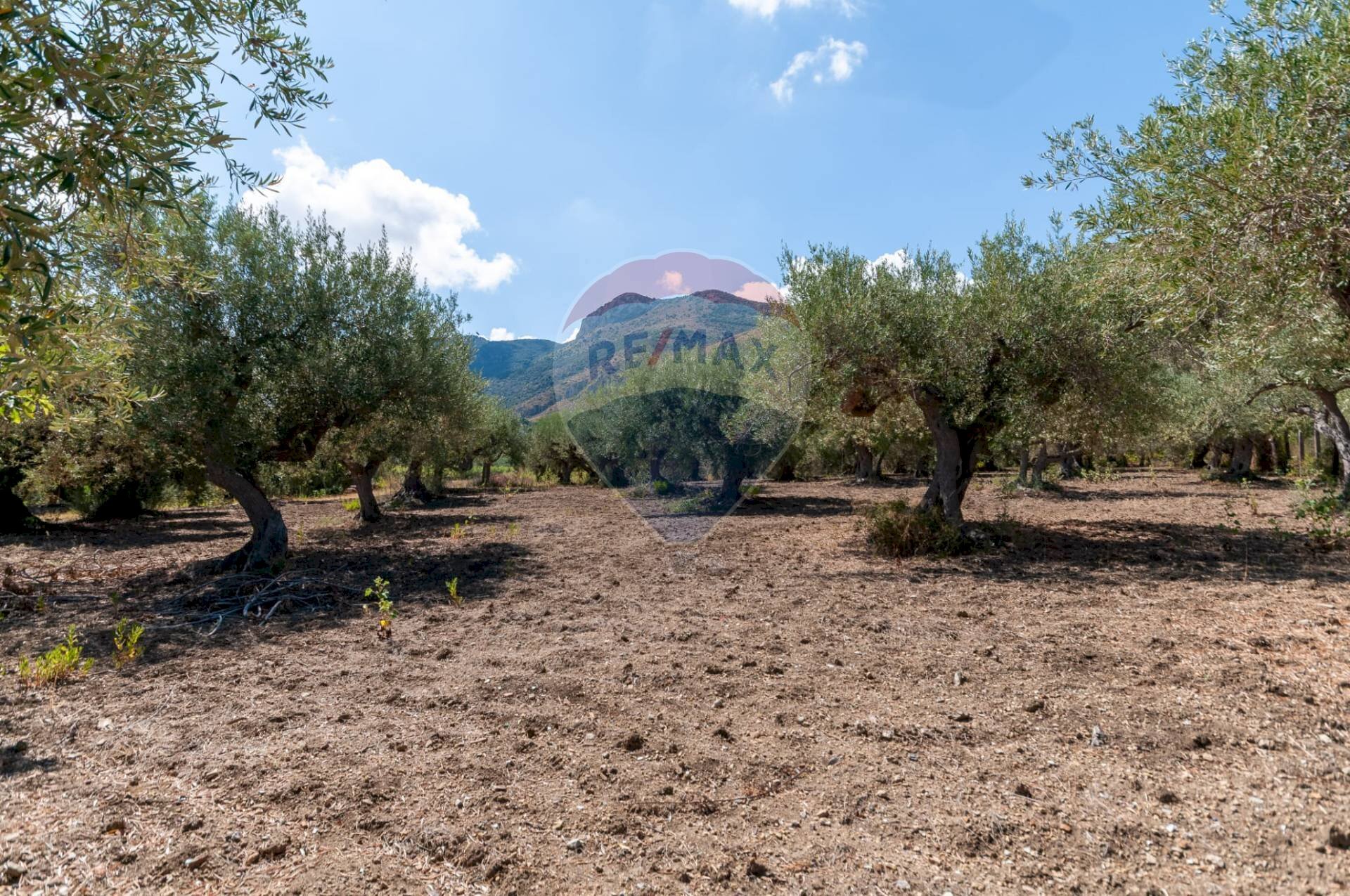 Vista delle montagne - Casa semi indipendente C.da San Michele
 
snc, Altavilla Milicia - foto 3
