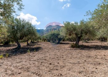 Vista delle montagne - Casa semi indipendente C.da San Michele
 
snc, Altavilla Milicia - foto 3