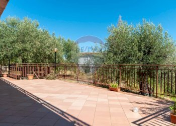 Terrazza - Casa semi indipendente C.da San Michele
 
snc, Altavilla Milicia - foto 25