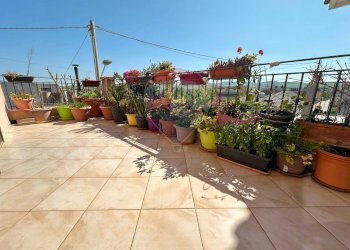 Terrazza - Independent house Erice - photo 32