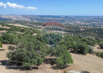 Vista delle montagne - Rustico Ragusa - foto 76