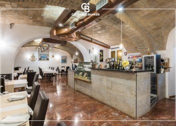 Foto 3 - Attività Commerciale Via Michelangelo Caetani
8, Frascati - foto 3