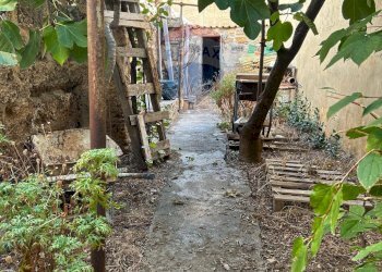 Giardino - Casa semi indipendente via San Lorenzo, Palermo - foto 1