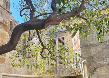 Giardino - Casa semi indipendente via San Lorenzo, Palermo - foto 18