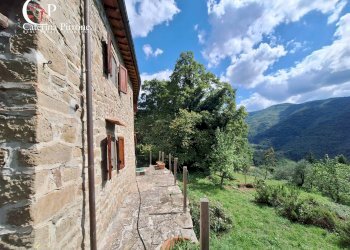 Foto 1 - Rustico via del Masso
 
2, Londa - foto 1