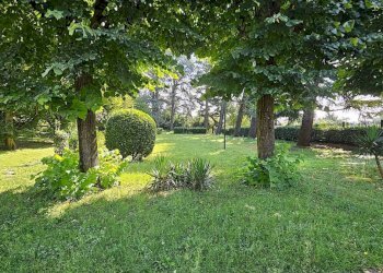 Giardino - Villa via Traforo, Pino Torinese - foto 3