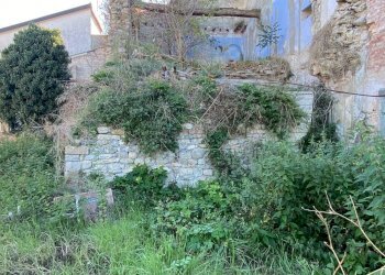 Foto 10 - Rustico Via Ilario Bragazzi
 
3, Felino - foto 10