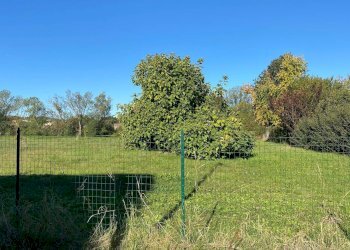 Foto 12 - Rustico Via Ilario Bragazzi
 
3, Felino - foto 12