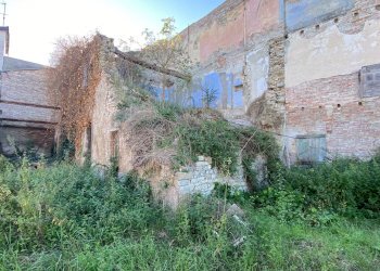 Foto 14 - Rustico Via Ilario Bragazzi
 
3, Felino - foto 14