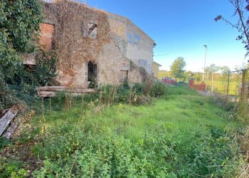 Foto 17 - Rustico Via Ilario Bragazzi
 
3, Felino - foto 17