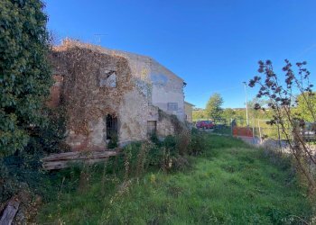 Foto 20 - Rustico Via Ilario Bragazzi
 
3, Felino - foto 20