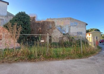 Foto 22 - Rustico Via Ilario Bragazzi
 
3, Felino - foto 22