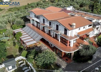 Foto 13 - Attività Commerciale Contrada della fonte
 
11, Controguerra - foto 13