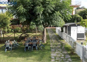 Foto 16 - Attività Commerciale Contrada della fonte
 
11, Controguerra - foto 16