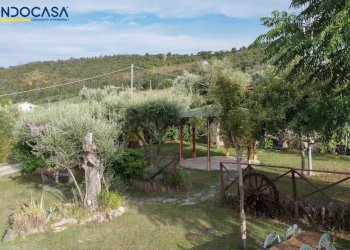 Foto 20 - Attività Commerciale Contrada della fonte
 
11, Controguerra - foto 20