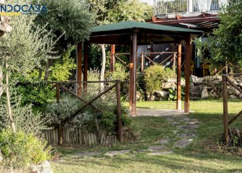 Foto 23 - Attività Commerciale Contrada della fonte
 
11, Controguerra - foto 23