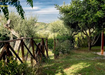 Foto 24 - Attività Commerciale Contrada della fonte
 
11, Controguerra - foto 24