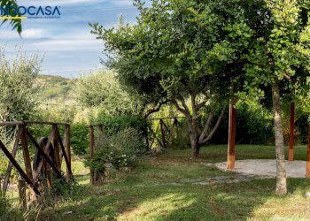 Foto 49 - Attività Commerciale Contrada della fonte
 
11, Controguerra - foto 49