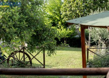 Foto 29 - Attività Commerciale Contrada della fonte
 
11, Controguerra - foto 29