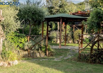 Foto 31 - Attività Commerciale Contrada della fonte
 
11, Controguerra - foto 31